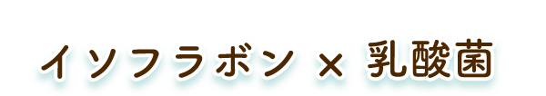 イソフラボン×乳酸菌